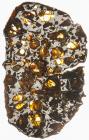 Meterorite Admire Pallasite