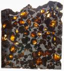 Meteorite Brahin Pallasite