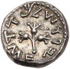 Judaea, The Jewish War. Silver 1/2 Shekel (6.99 g), 66-70 CE - 2