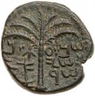 Judaea, Bar Kokhba Revolt. AE Medium Bronze (12.05 g), 132-135 CE