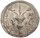 Judaea, Bar Kochba Revolt. Silver Sela (14.13 g), 132-135 CE - 2