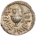 Judaea, Bar Kochba Revolt. Silver Zuz (3.40 g), 132-135 CE - 2