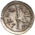 Judaea, Bar Kochba Revolt. Silver Zuz (2.89 g), 132-135 CE - 2