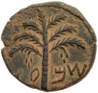Judaea, Bar Kochba Revolt. AE Medium Bronze (9.46 g), 132-135 CE
