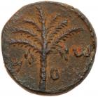 Judaea, Bar Kochba Revolt. AE Medium Bronze (10.00 g), 132-135 CE