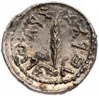 Judaea, Bar Kokhba Revolt. Silver Zuz (3.57 g), 132-135 CE. Undated, attributed to year 3 (134/5 CE) - 2