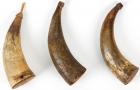 LOT OF (3) ANTIQUE POWDER HORNS