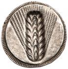 Lucania, Metapontion. Silver Nomos (8.13 g), ca. 540-510 BC - 2