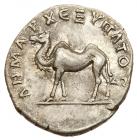 Trajan. Silver Drachm (3.31 g), AD 98-117 Choice VF - 2