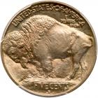 1913-D Buffalo 5C. Type 1 PCGS MS67 - 2