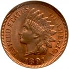 1891 Indian Head 1C NGC MS65 RB