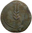 Iberia, Ilipense. AE (30.08 g), 2nd century BC VF - 2