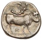 Campania, Neapolis. Fourree Nomos (5.96 g), ca. 350-325 BC VF - 2