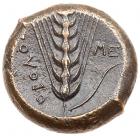 Lucania, Metapontion. AE Obol (10.21 g), ca. 425-350 BC VF - 2