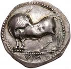 Lucania, Sybaris. Silver Nomos (7.81 g), ca. 550-510 BC About EF