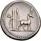 Cn. Plancius. Silver Denarius (3.96 g), 55 BC Choice VF - 2