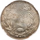 Chile. Peso, 1895-So NGC MS63 - 2