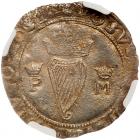 Ireland. Groat, 1557 NGC AU50 - 2