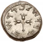 Judaea, The Jewish War. Silver Shekel (13.88 g), 66-70 CE Nearly Mint State - 2