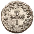 Judaea, The Jewish War. Silver 1/2 Shekel (6.61 g), 66-70 CE EF - 2