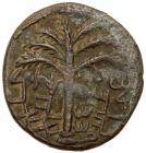 Judaea, Bar Kokhba Revolt. AE Medium Bronze (8.64 g), 132-135 CE VF