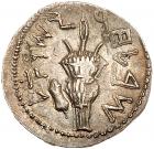 Judaea, Bar Kokhba Revolt. Silver Sela (14.27 g), 132-135 CE Choice VF - 2