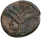 Judaea, Bar Kokhba Revolt. AE Medium Bronze (11.01 g), 132-135 CE Nearly EF