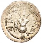 Judaea, Bar Kokhba Revolt. Silver Sela (14.13 g), 132-135 CE Choice VF - 2