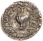 Judaea, Bar Kokhba Revolt. Silver Zuz (3.22 g), 132-135 CE VF - 2