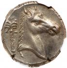 Sicily, Entella. Silver Tetradrachm (17.35 g), ca. 320/15-300 BC - 2