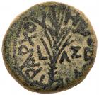 Judaea, Herodian Kingdom. Herod III Antipas. Æ Half denomination (6.81 g), 4 BCE-39 CE - 2