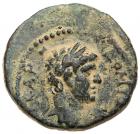 Judaea, Herodian Kingdom. Agrippa II, with Domitian. Æ 15 (3.57 g), ca. 50-100 CE