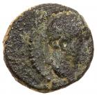 Judaea, Herodian Kingdom. Agrippa II, with Domitian. Æ 11 (1.63 g), ca. 50-100 CE