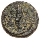 Judaea, Herodian Kingdom. Agrippa II, with Domitian. Æ 11 (1.63 g), ca. 50-100 CE - 2