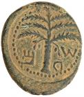 Judaea, Bar Kokhba Revolt. AE Medium Bronze (11.94 g), 132-135 CE Choice VF