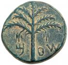 Judaea, Bar Kokhba Revolt. AE Medium Bronze (10.43 g), 132-135 CE Superb EF