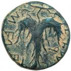 Judaea, Bar Kokhba Revolt. AE Medium Bronze (10.43 g), 132-135 CE Superb EF - 2