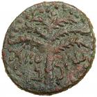 Judaea, Bar Kokhba Revolt. AE Medium Bronze (10.31 g), 132-135 CE EF