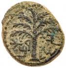 Judaea, Bar Kokhba Revolt. AE Small Bronze (5.73 g), 132-135 CE EF