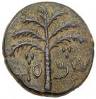 Judaea, Bar Kokhba Revolt. AE Medium Bronze (10.66 g), 132-135 CE Choice VF