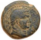 Ascalon in Judaea. Titus. AE 24 (14.34 g), AD 79-81 Choice VF