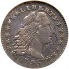 1795 Flowing Hair H10C NGC EF40