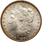 1881-CC Morgan $1 ANACS MS64