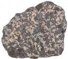 Rare Silicated Campo del Cielo Meteorite