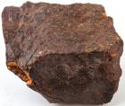 NWA869 Stony Meteorite With Fusion Crust