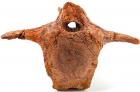 Dinosaur Tail Vertebrae