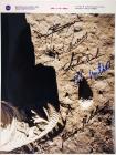 Apollo 11 Lunar Surface Photo Signed by 5 Moonwalkers