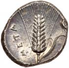 Lucania, Metapontion. Silver Nomos (7.85 g), ca. 290-280 BC Superb EF - 2