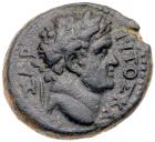 Gadara in Decapolis. Titus. AE (5.51 g), as Caesar, AD 69-79 EF