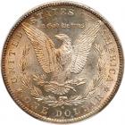 A pair of 1881-S Morgan Dollars - 2